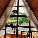 Calla Cabin 2